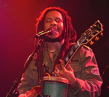 Stephen Marley musician