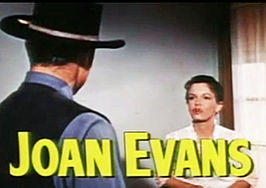 Joan Evans actress