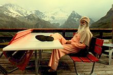 Swami Satchidananda