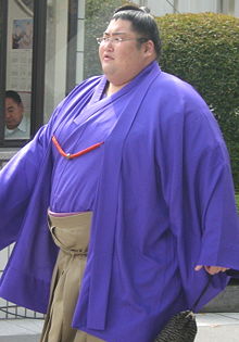 Yamamotoyama Ry ta