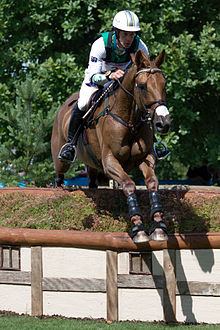 Chris Burton equestrian