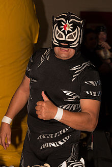 Pantera wrestler