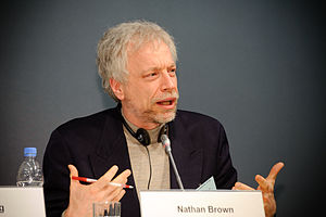 Nathan J Brown political scientist