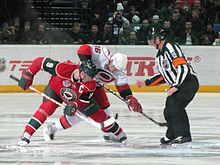 Mikko Koivu