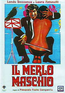 Il merlo maschio