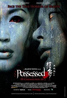 Possessed 2006 film