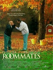 Roommates 1995 film