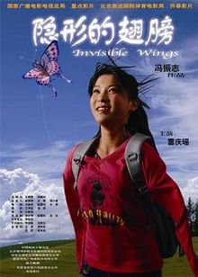 Invisible Wings