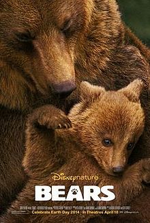 Bears film