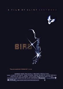 Bird film