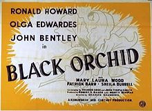 Black Orchid 1953 film