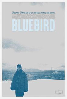 Bluebird 2013 film