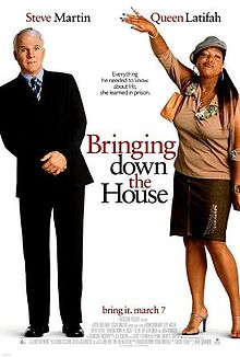 Bringing Down the House film