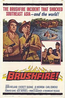 Brushfire film