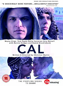 Cal 2013 film