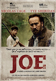 Joe 2013 film