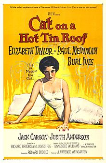 Cat on a Hot Tin Roof film