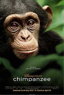 Chimpanzee film