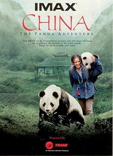 China The Panda Adventure