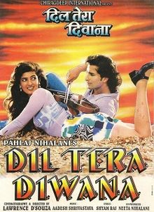 Dil Tera Diwana 1996 film