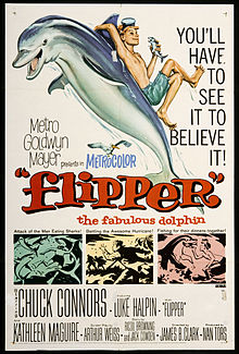 Flipper 1963 film