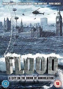 Flood film