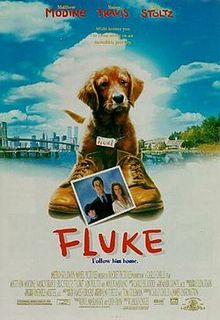 Fluke film