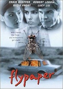 Flypaper 1997 film