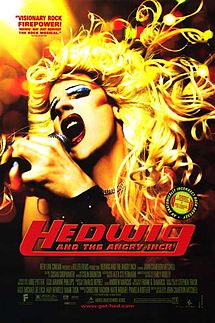 Hedwig and the Angry Inch film
