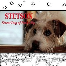 Stetson Street Dog of Park City