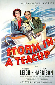 Storm in a Teacup film