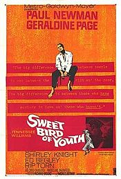 Sweet Bird of Youth film