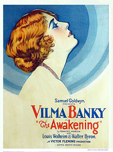 The Awakening 1928 film