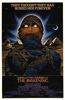 The Awakening 1980 film