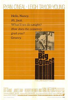 The Big Bounce 1969 film