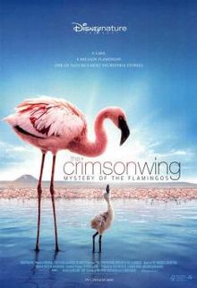 The Crimson Wing Mystery of the Flamingos