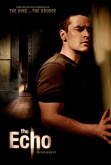 The Echo 2008 film