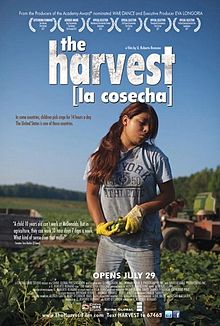 The Harvest 2010 film