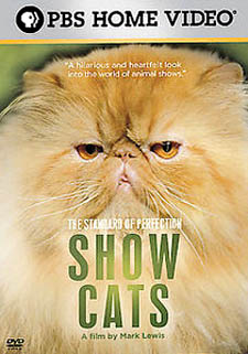 The Standard of Perfection Show Cats