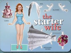 The Starter Wife miniseries