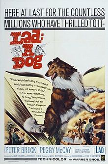 Lad A Dog film