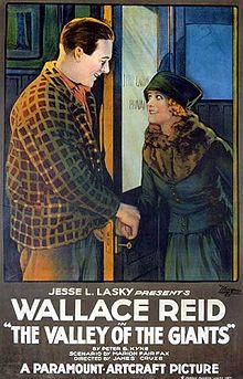 The Valley of the Giants 1919 film