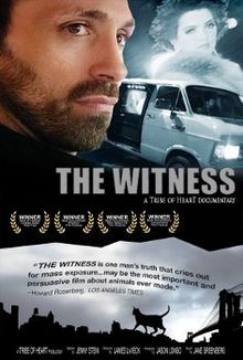 The Witness 2000 film