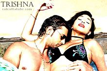 Trishna 2009 film