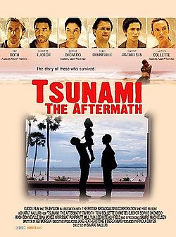 Tsunami The Aftermath