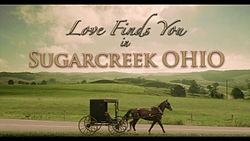 Love Finds You in Sugarcreek Ohio film