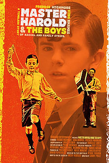 Master Harold and the Boys 2010 film