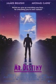 Mr Destiny