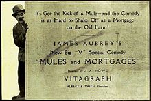 Mules and Mortgages